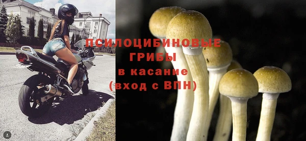 прущая мука Михайловск
